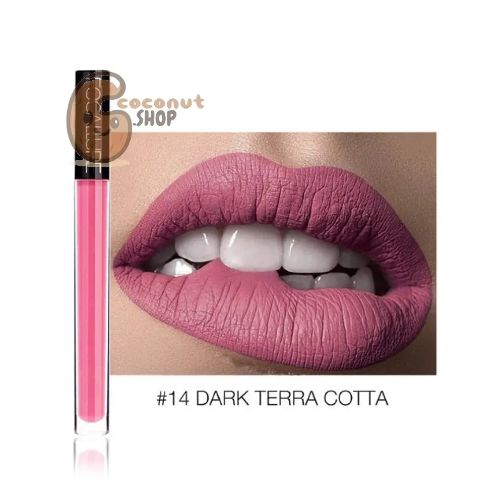 Matte Lipstick: Waterproof Pigment - 14