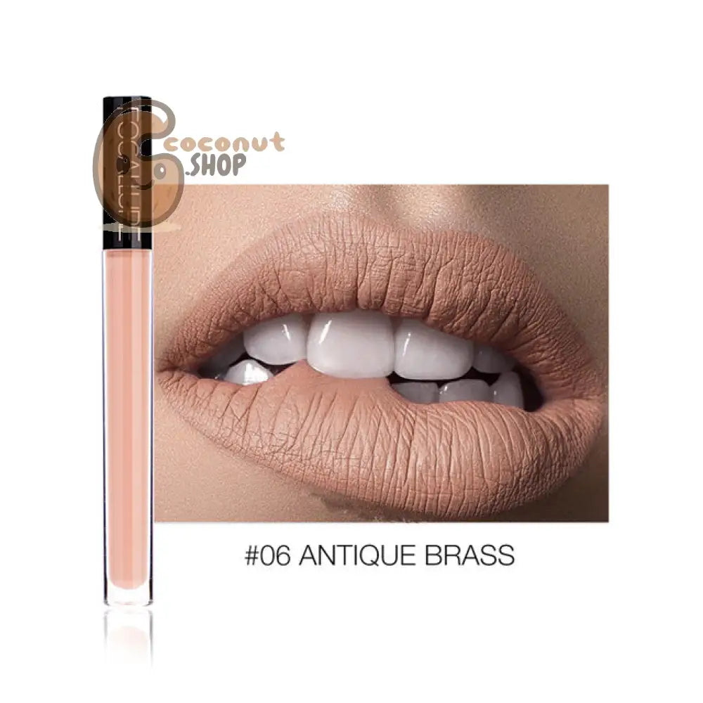 Matte Lipstick: Waterproof Pigment - 6