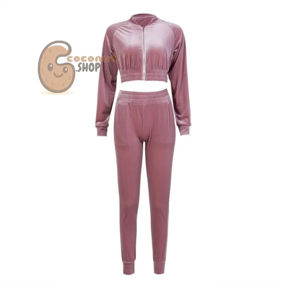 Women Sweatshirt Pants Sets Velvet Tracksuit Velour smooth soft Suit - Pink / S