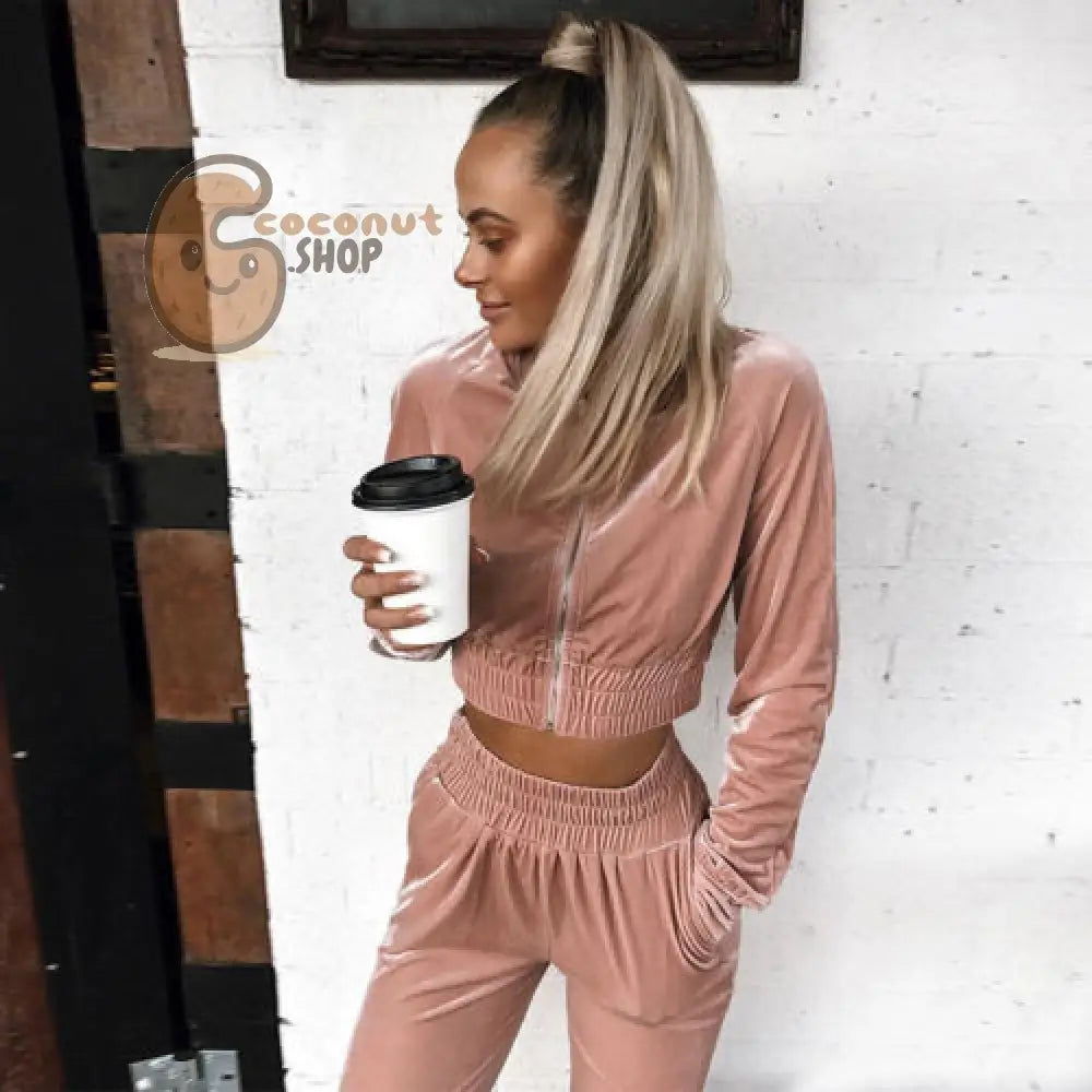 Women Sweatshirt Pants Sets Velvet Tracksuit Velour smooth soft Suit