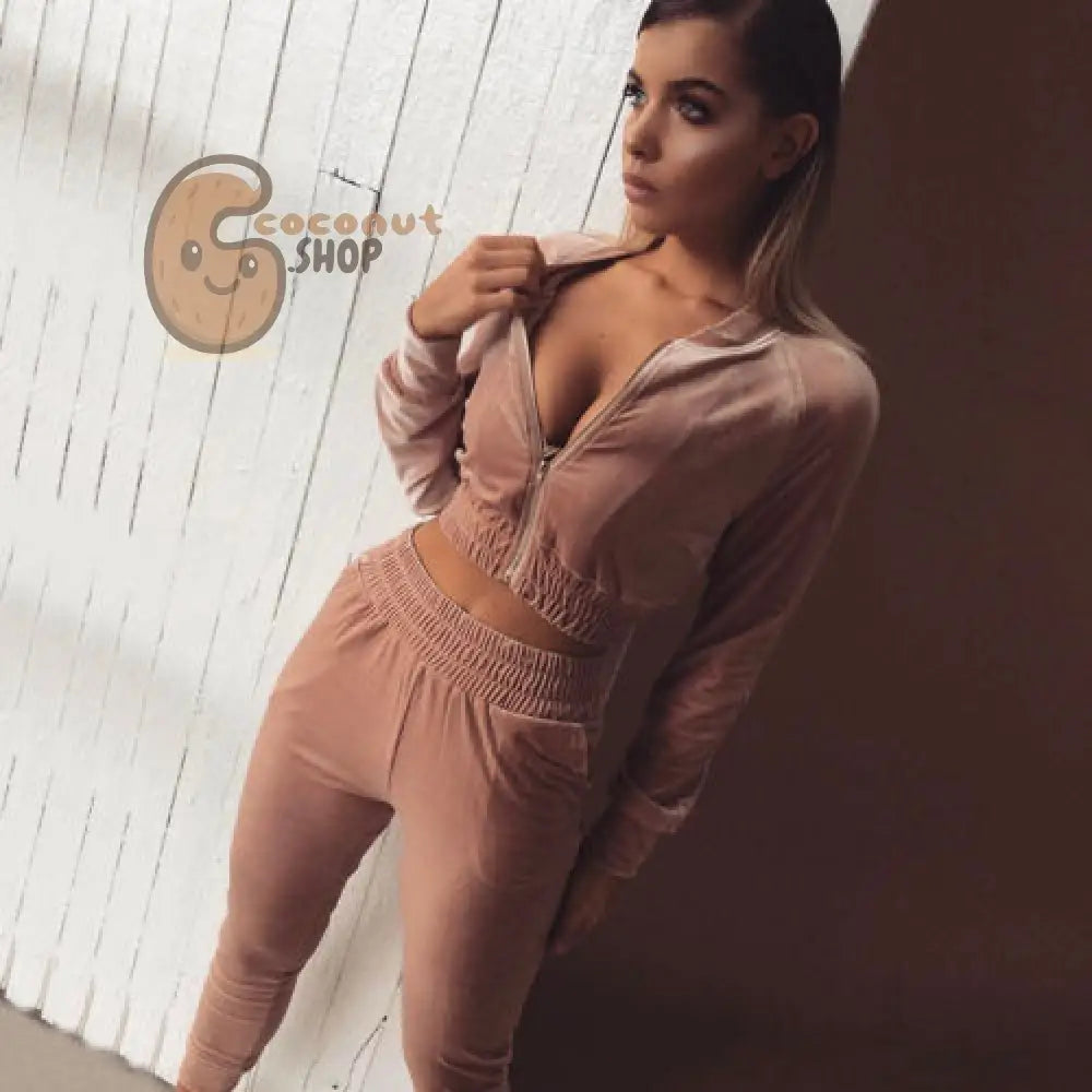 Women Sweatshirt Pants Sets Velvet Tracksuit Velour smooth soft Suit