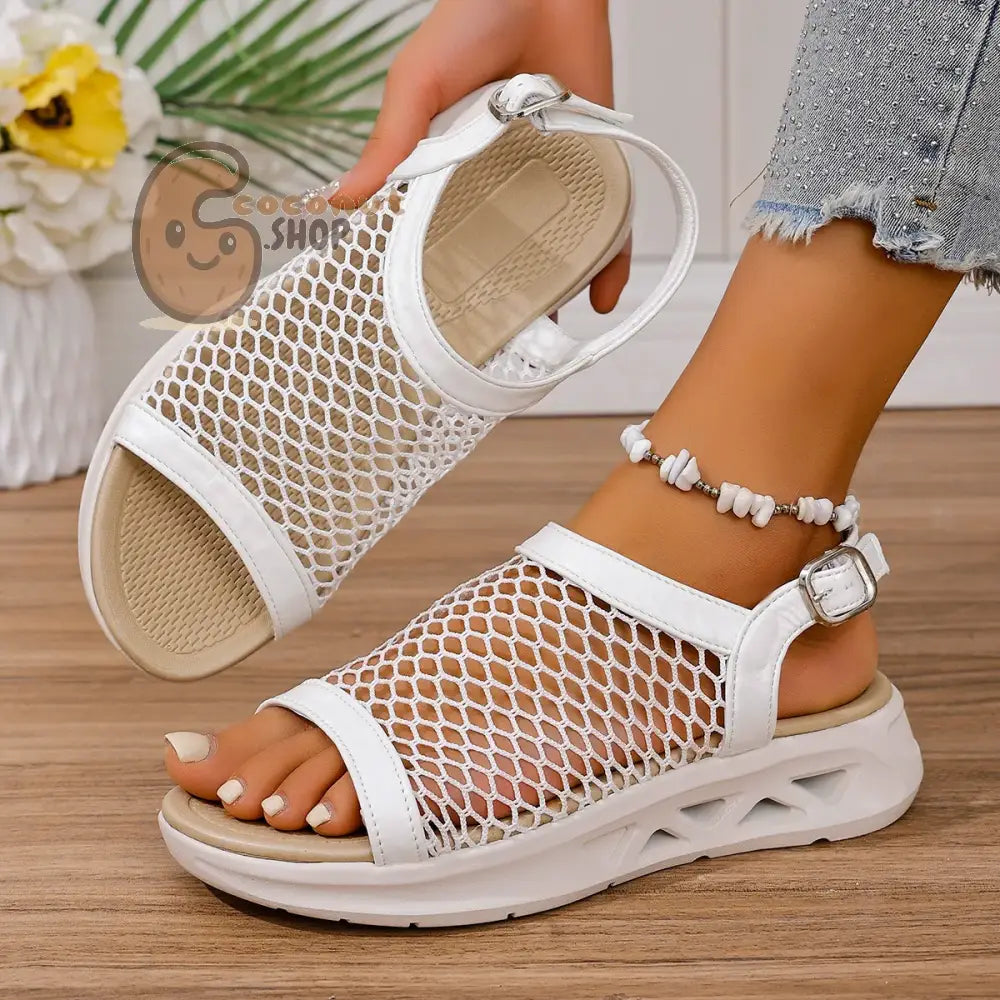 79f37543-e141-4c84-a484-ca0fa4de094d-Max-Origin